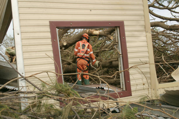 How Our Tree Care Process Works  in  Oakwood, OH